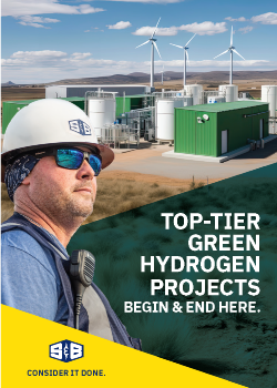 PDF download of the World Hydrogen Brochure
